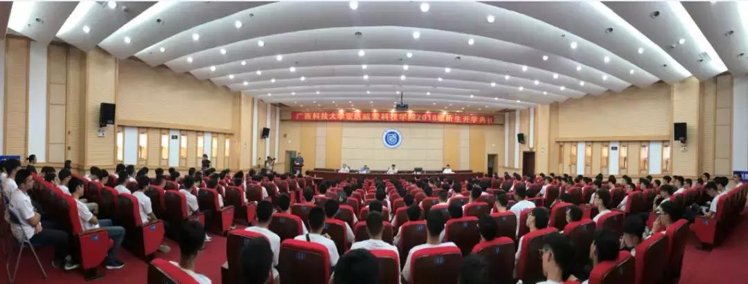 高考志愿填报南方科技大学,广西科技大学一志愿2024