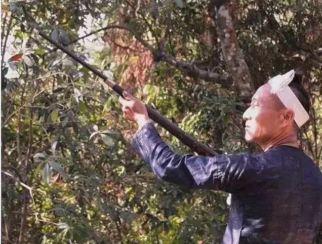 贵州用镰刀剃头的原始部落,偷南瓜是在哪里