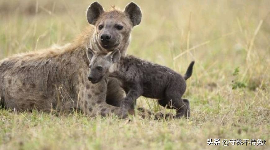 10个冷知识看了涨知识,十个冷知识除鞋臭