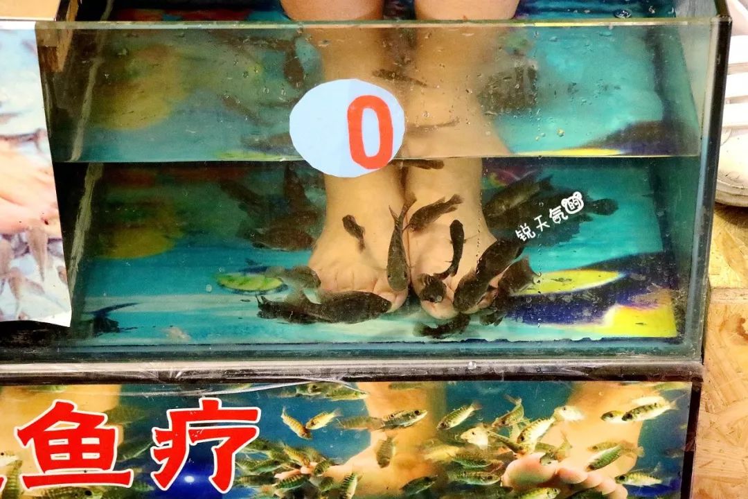 不一样的厦门,不一样的厦门环岛路