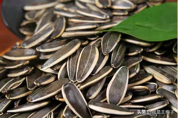 年前买瓜子注意哪些,买瓜子要注意什么