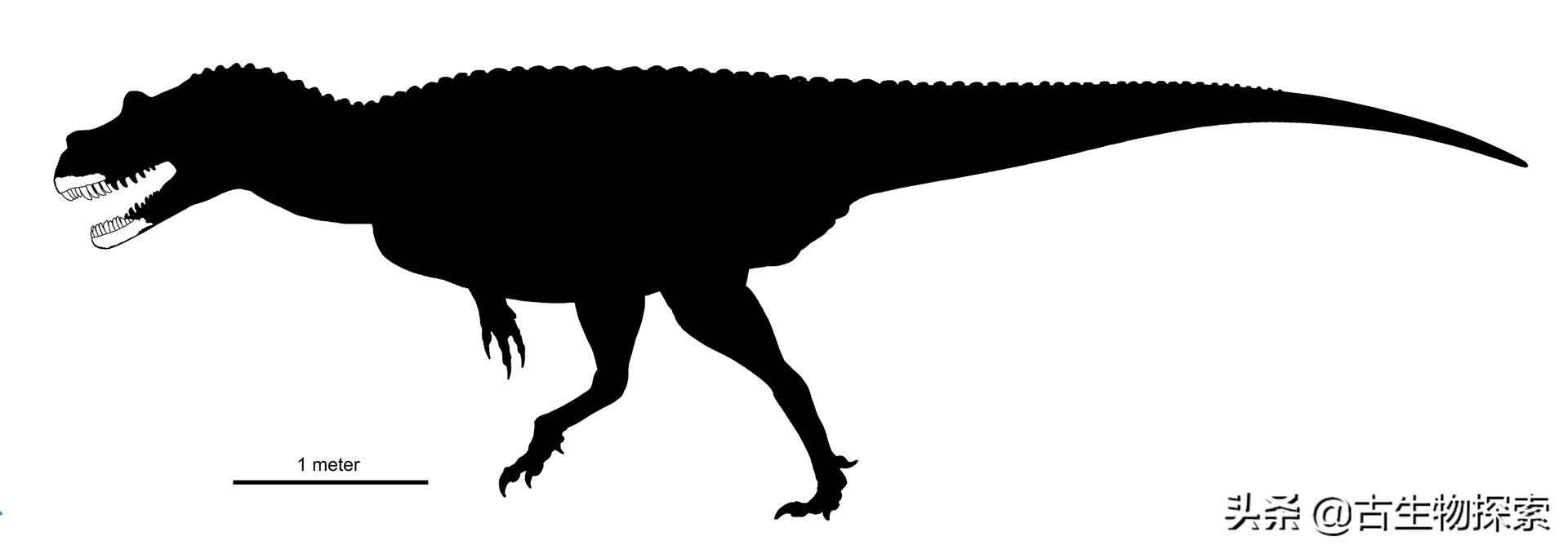 泰坦龙是最大的恐龙吗,世界上最高的恐龙是泰坦巨龙吗