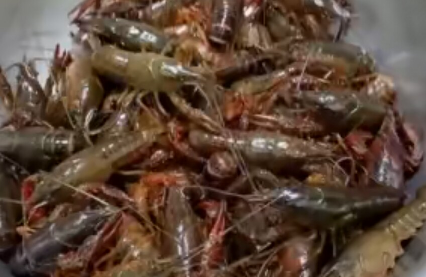 龙虾怎么做最快入味好吃,怎么做爆开的龙虾又脆又好吃