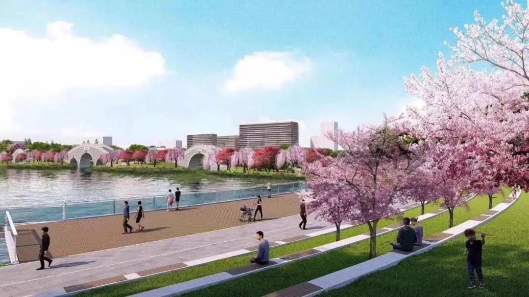 杭州湾新区投资100亿,投资杭州湾哪里好