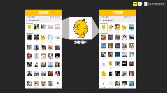 乐凯撒盈利,乐凯撒的发展前景如何