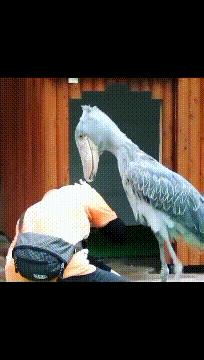 学日语被骂是活该吗,当你学日语被误会成汉奸