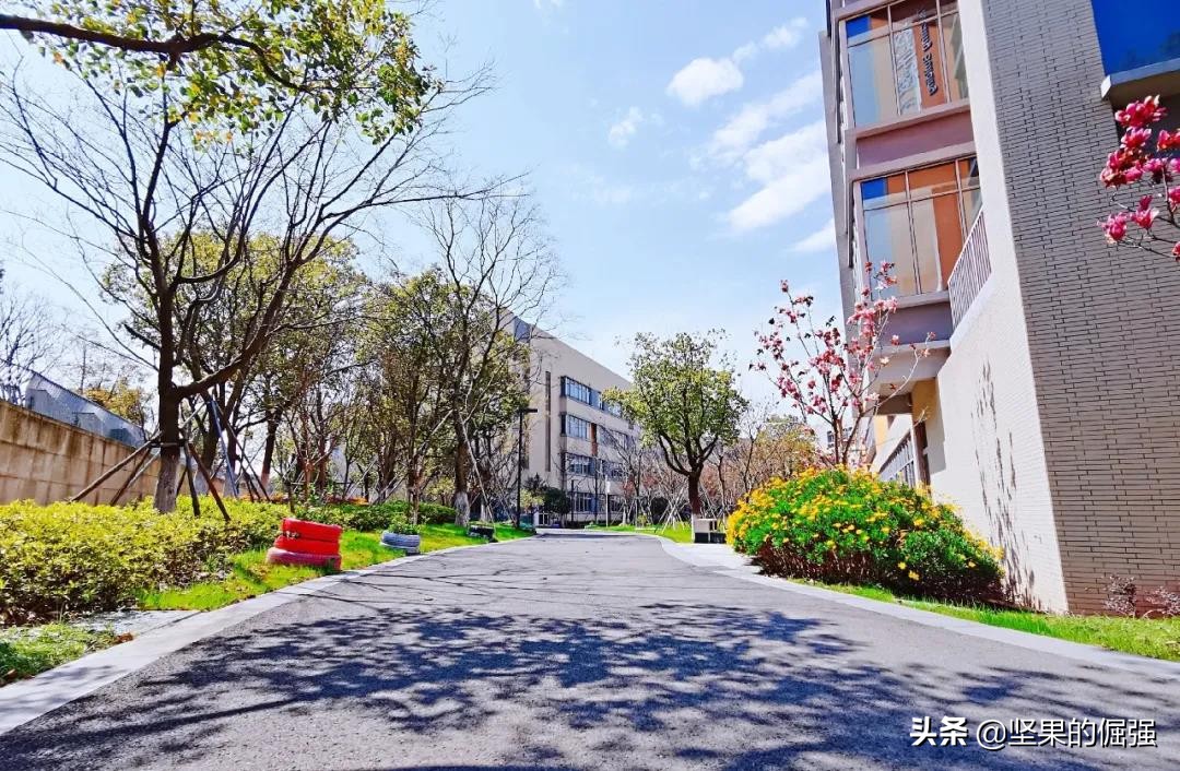 2018年苏州民办高中分数线,苏州六区初高中排名