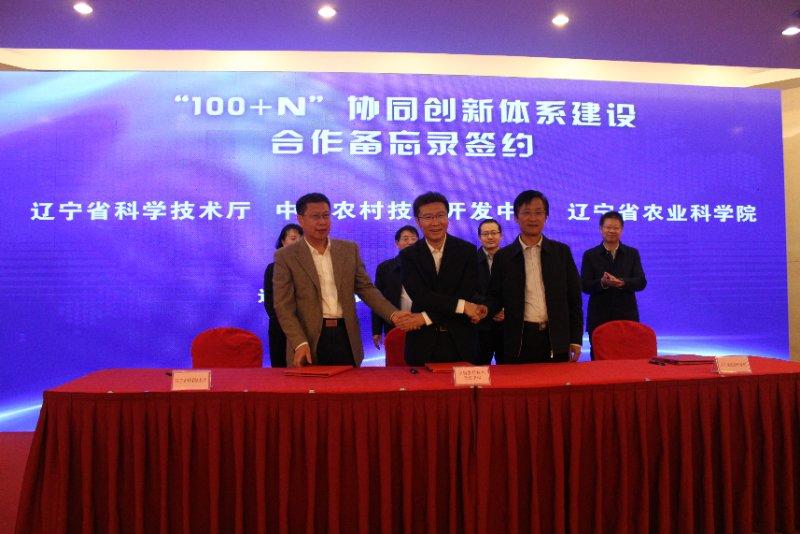 沈阳10月新闻,2018年12月11日沈阳新闻