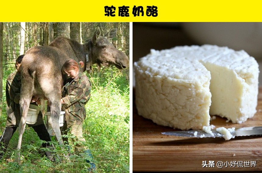 盘点那些很贵的食物,昂贵的8种食物你吃过哪几个