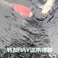 一哥专扒：RAY面膜被一哥扒的，可能连“*裤底**”都不剩！