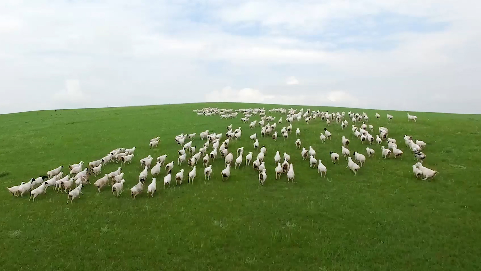 中国6个存在感最弱的省会,经济被“小弟”超越,有你的家乡吗?