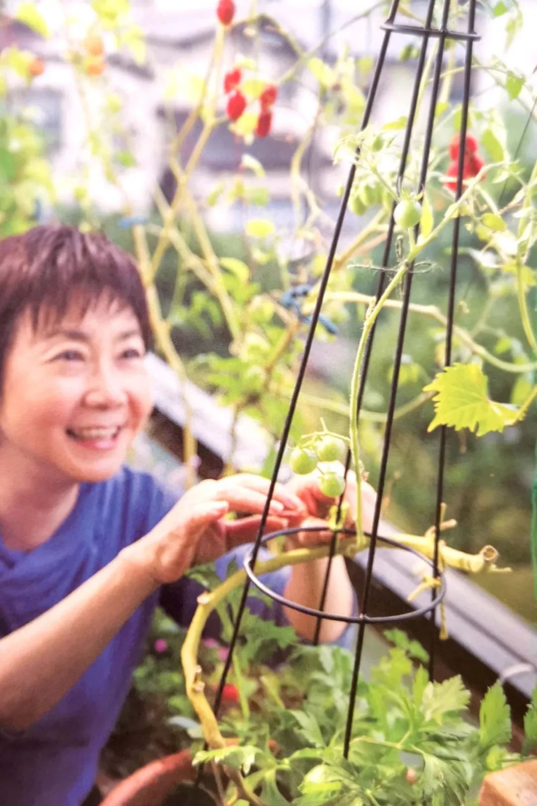 新手小阳台种菜哪些好种,新手阳台种菜怎么种得快