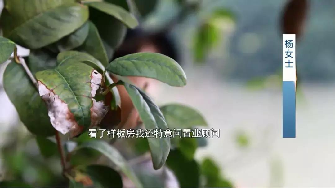 碧桂园5000平米多少钱,碧桂园装修6万全包