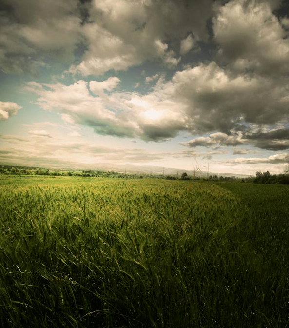 ps教程图层混合式模式讲解,ps图层混合模式的用法教程