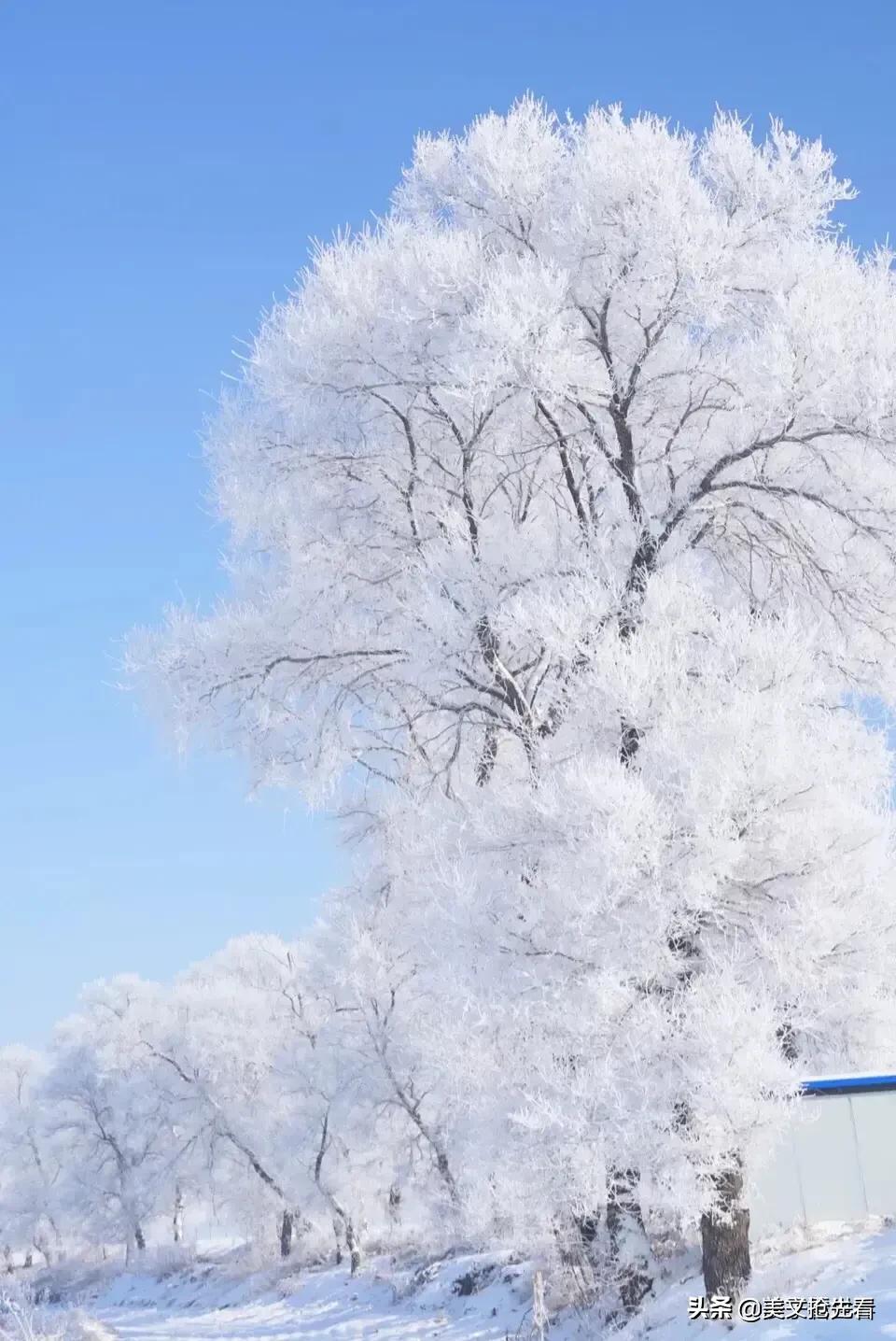 最寒冷的冬天过去了吗,寒冷的冬天过去了作文