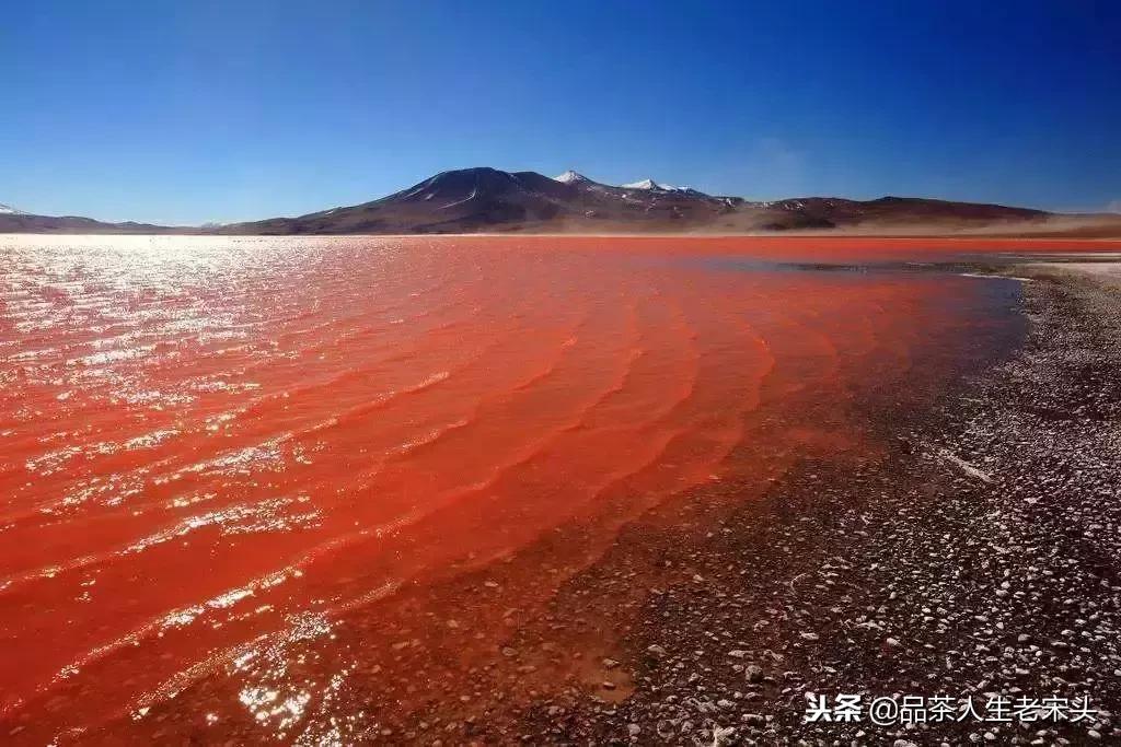 最新世界十大“怪”,最后一个太绝了!