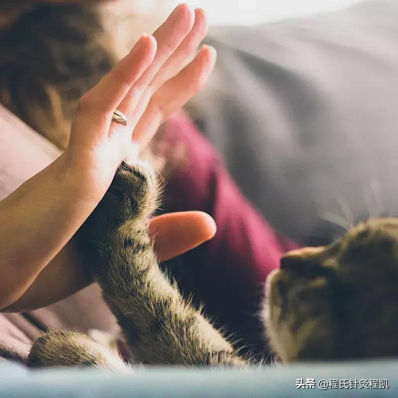 程凯针灸治抑郁症,程凯养生说抑郁症视频