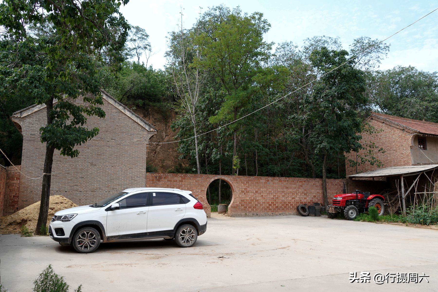 农民大姐家有“黑熊犬”，忠诚聪明1狗护全村，8万不卖