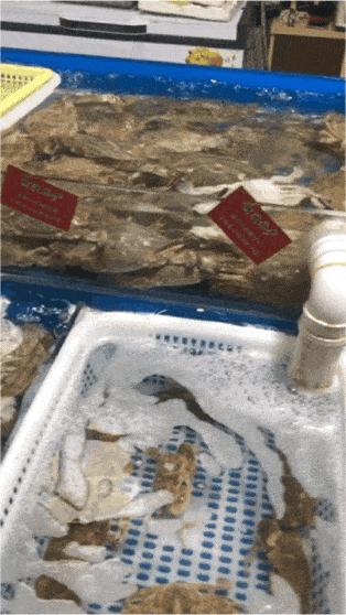 2019，买菜这件小事