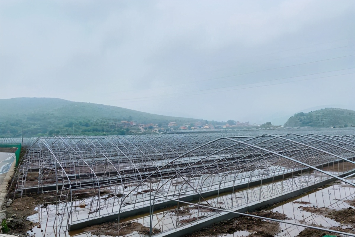 「小康圆梦」平顺县龙溪镇龙镇村:朵朵香菇托起富民产业