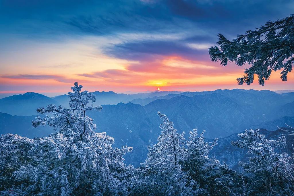 让客来时，所见一山碧绿，万物竞发