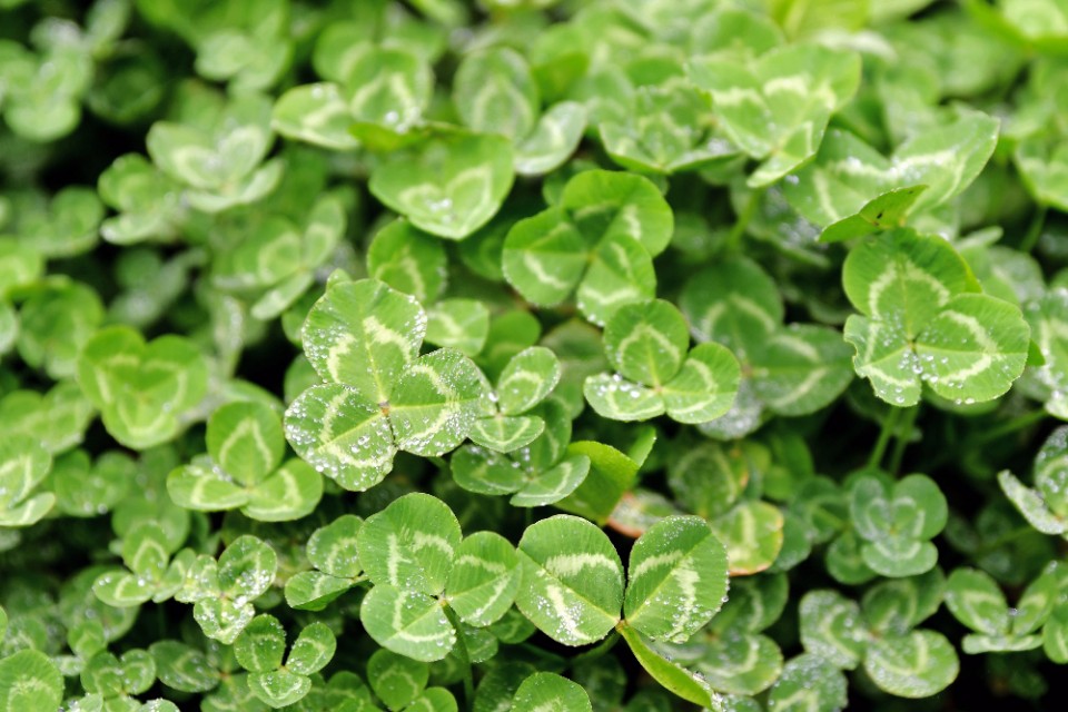 春雨江苏东台,春雨江苏无锡