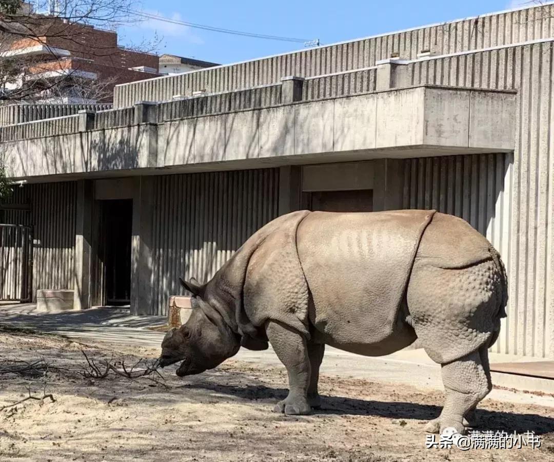七天日本之旅,名古屋七日游自由行