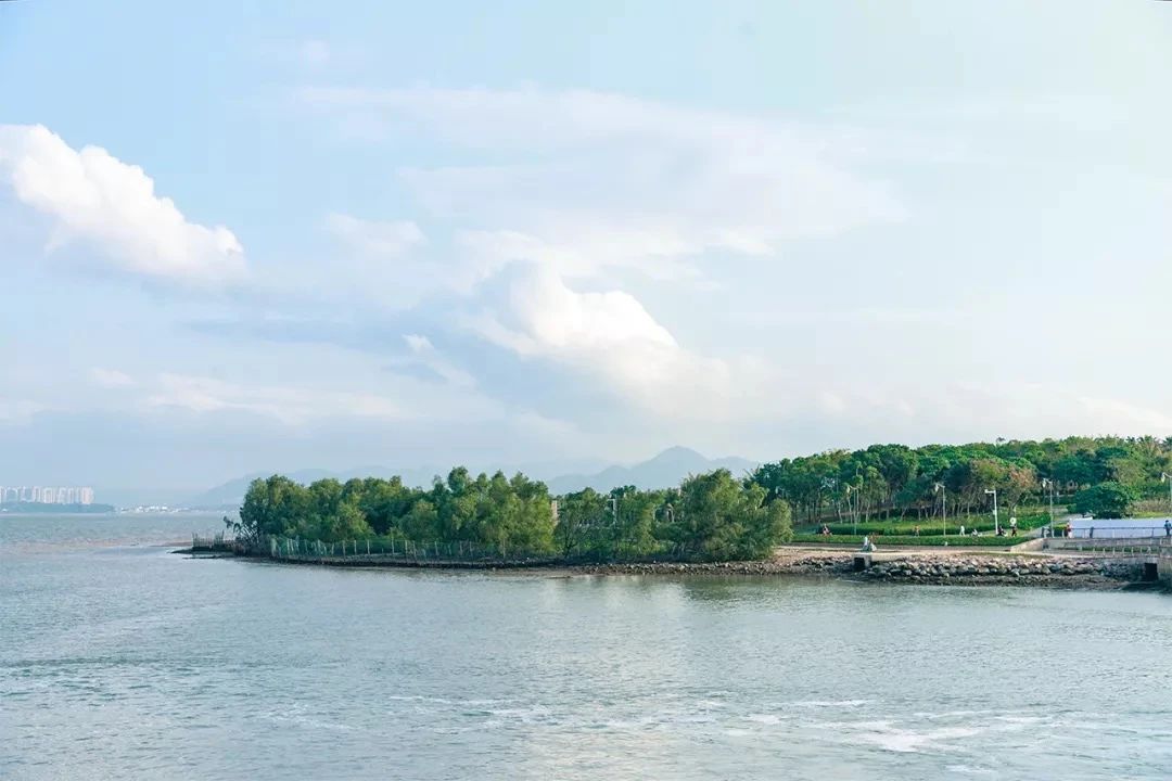 深圳周末浪漫好去处,深圳浪漫约会地点十个景点