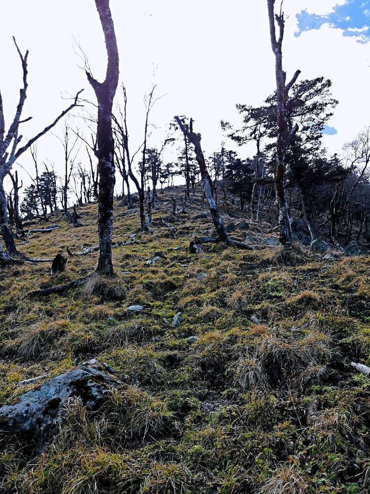 20201101惊悚之行~首阳山大坪梁单日横穿+原返