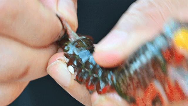 巴掌大小龙虾,深夜爆香小龙虾