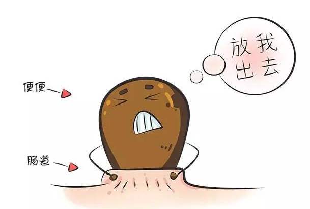 儿童便秘怎么快速排便十岁,顽固性老年便秘吃什么能快速排便