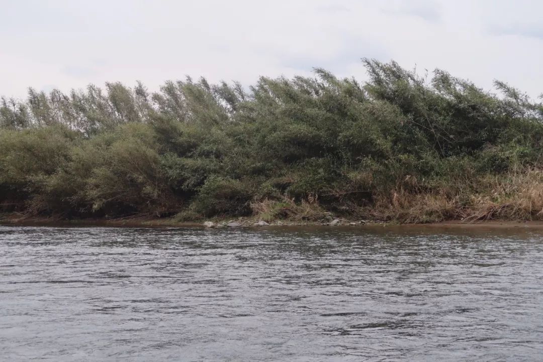一月份游岚山,岚山哪个地方好玩一日游