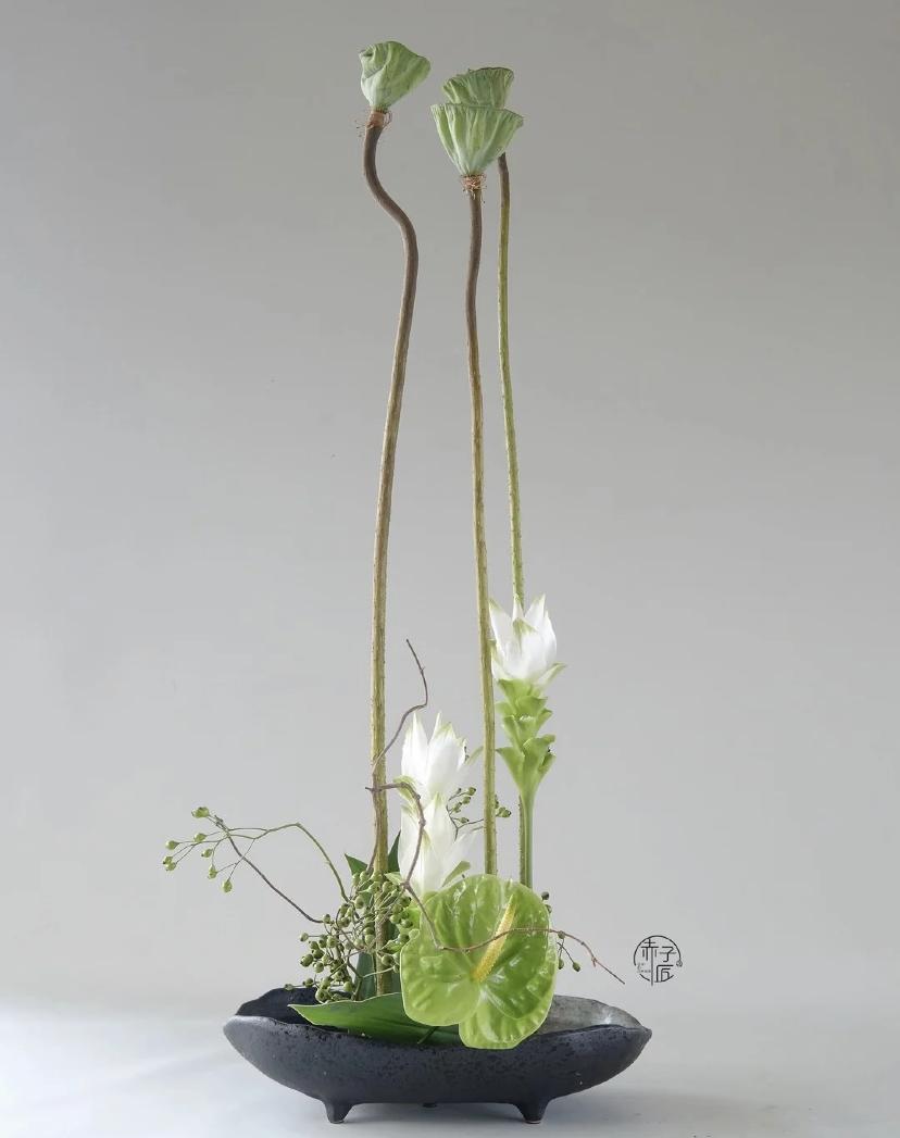 家里要有氛围感什么花比较好,家里高级的花