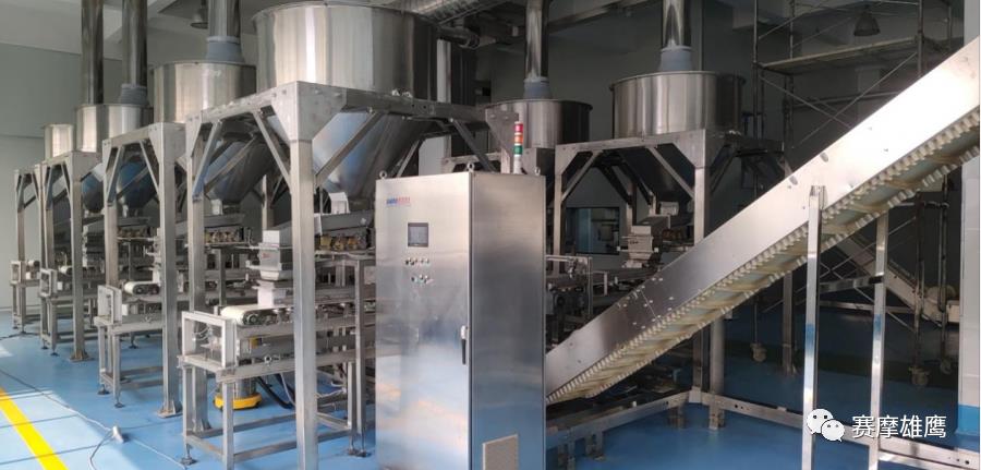 在逆境中突破——赛摩智能2020重大项目回顾