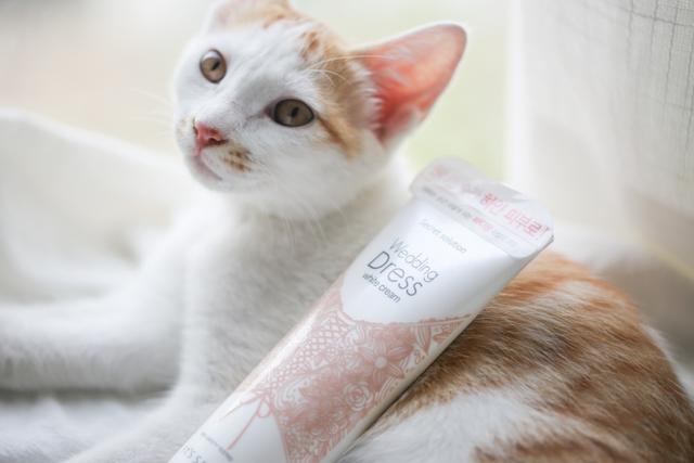 不会假白的素颜霜,涂完你也能去参加101了