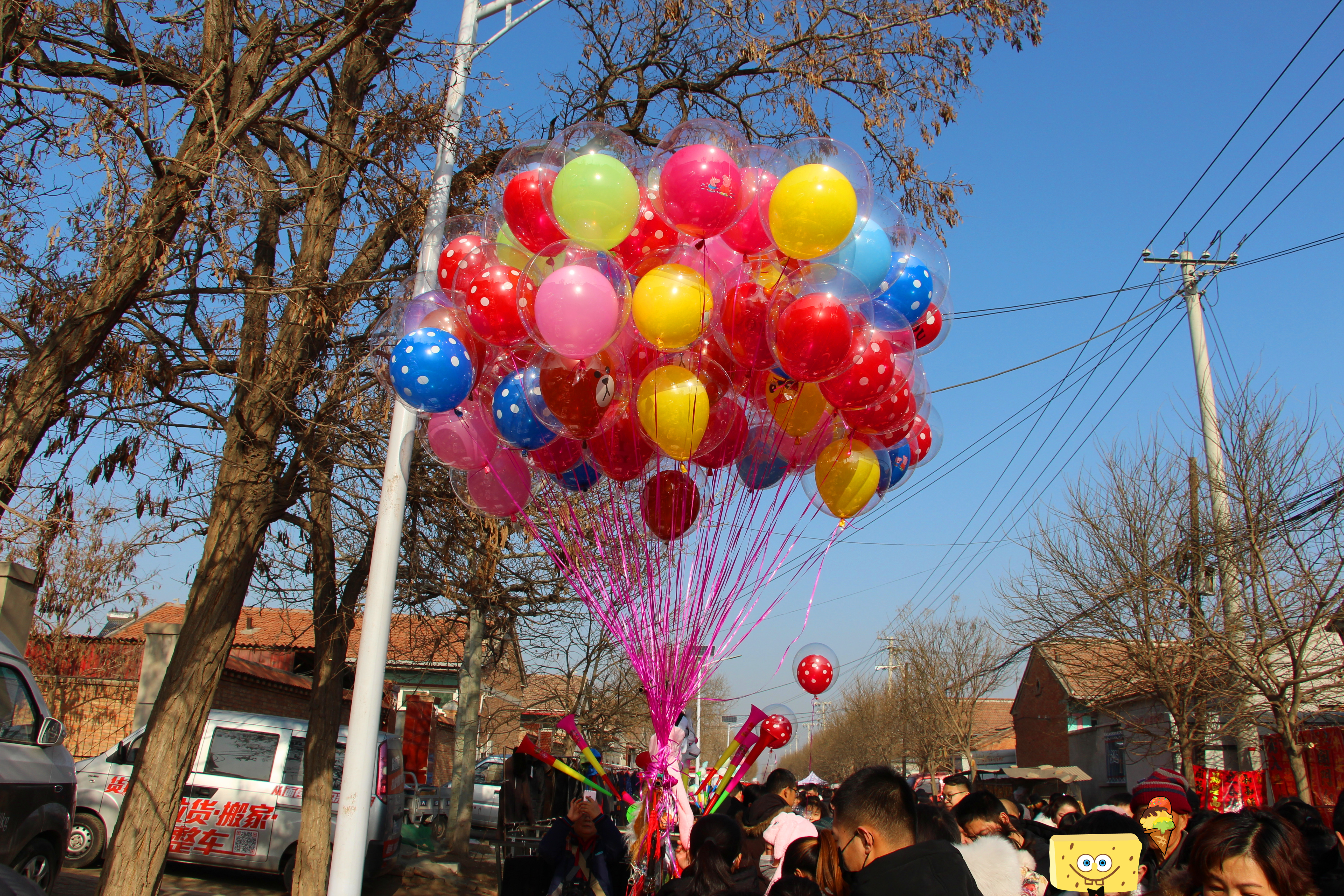 天津市武清区泗村店镇太子务村赶大集