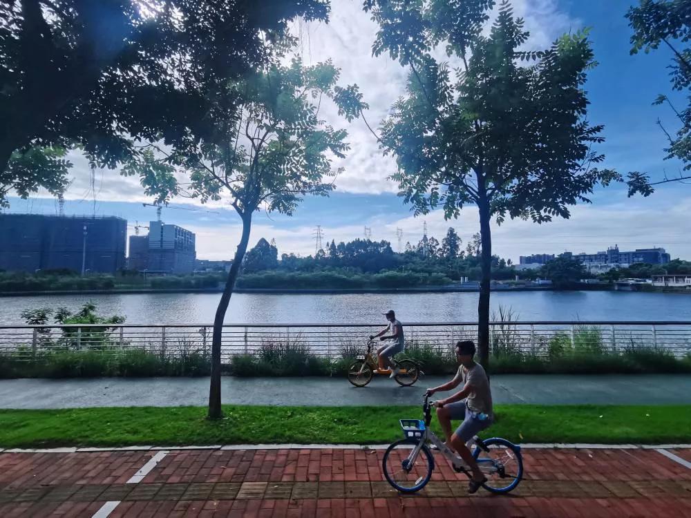 广州有代交社保的机构吗,广州代缴社保机构排名