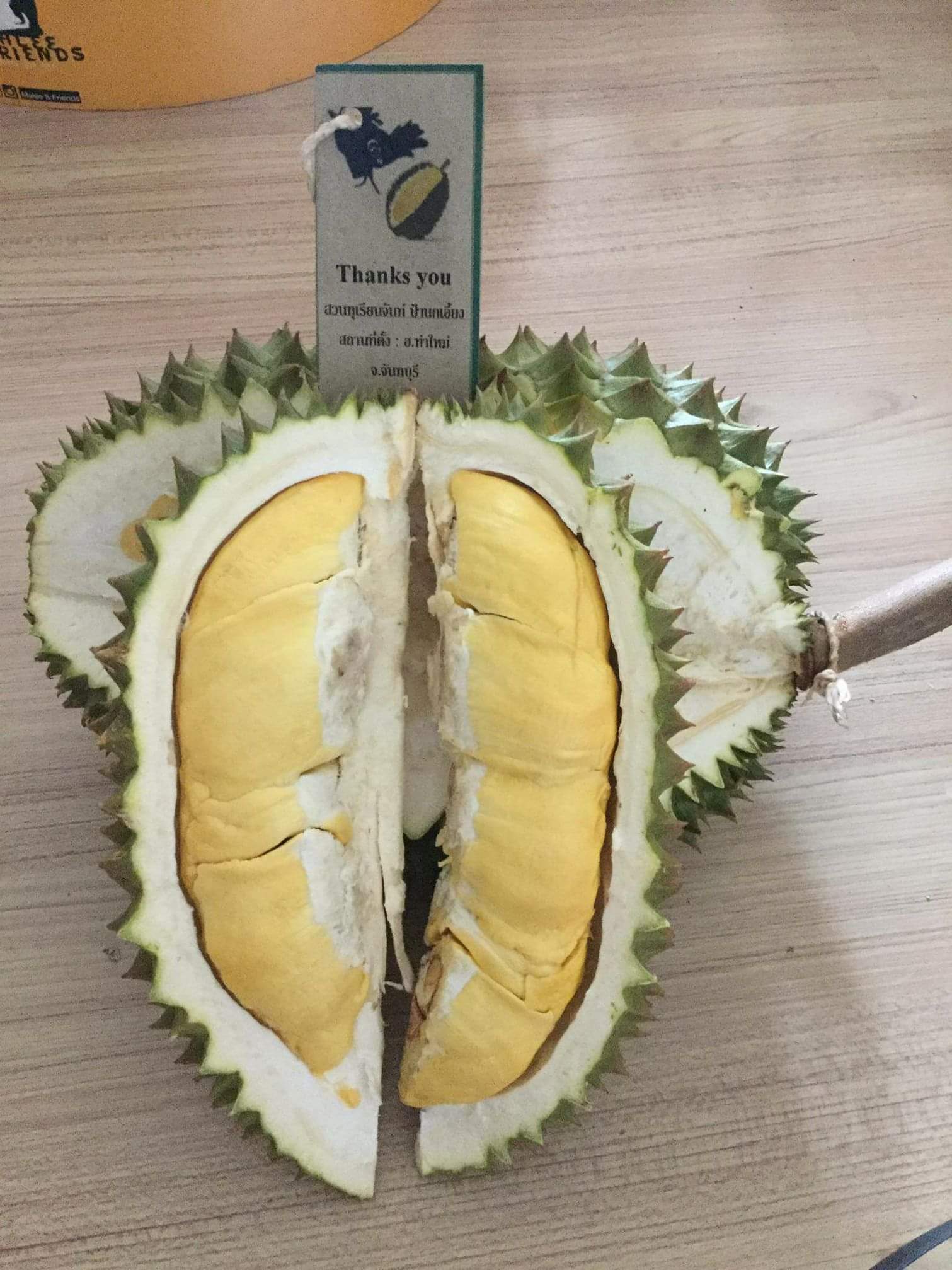 榴莲品种d13,泰国榴莲d197是什么品种