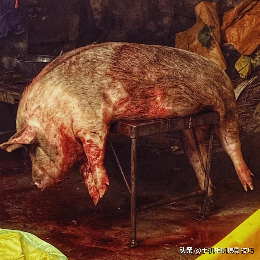 14组普通人拍出来的好照片,这才是普通人拍的照片平凡而珍贵