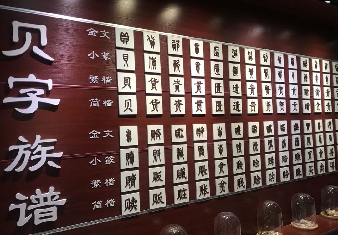 青岛海边的小海螺,青岛沿海的小海螺