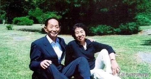 你不知道的袁隆平:浪里白条、预备飞行员、油炸鬼、臭水沟捞宝贝