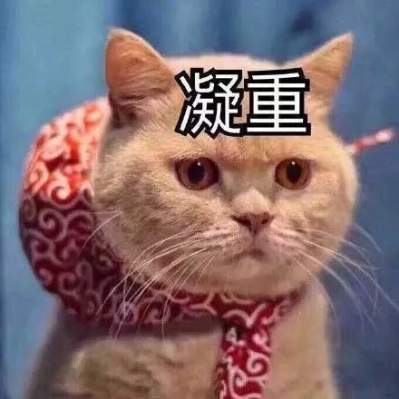 文林小学2007级,小学语文我为你骄傲