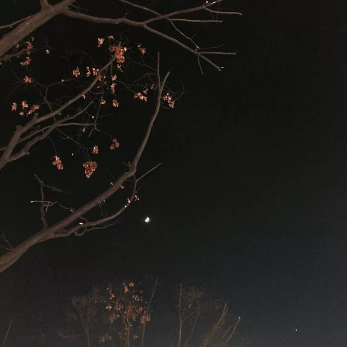 吉祥招财带来好运的山水微信头像,2024最招财带来好运的微信头像