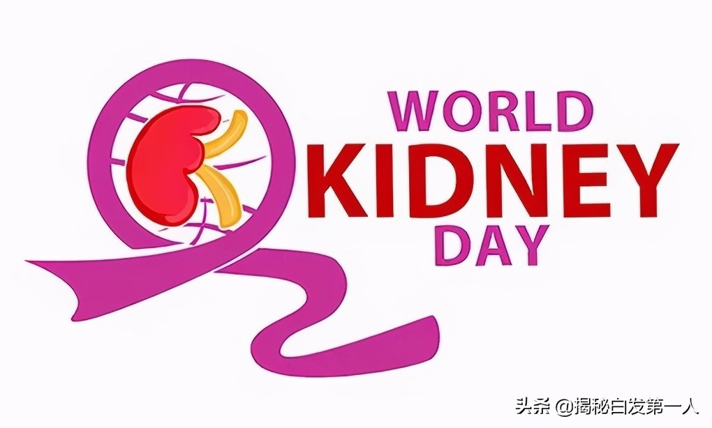 人工肾kidney,为什么kidney是肾脏
