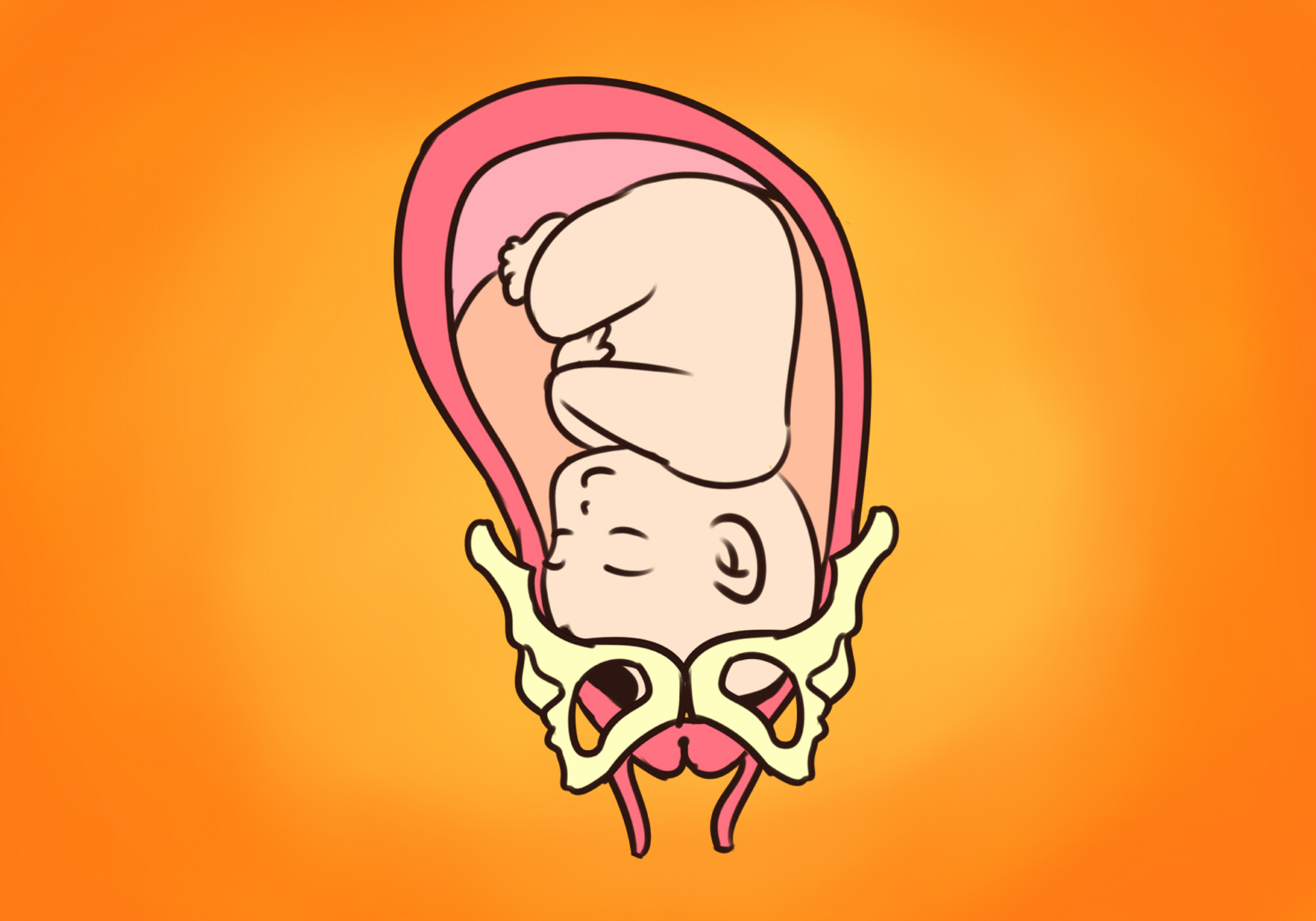 胎动位置随孕周变化,胎动位置高是什么意思