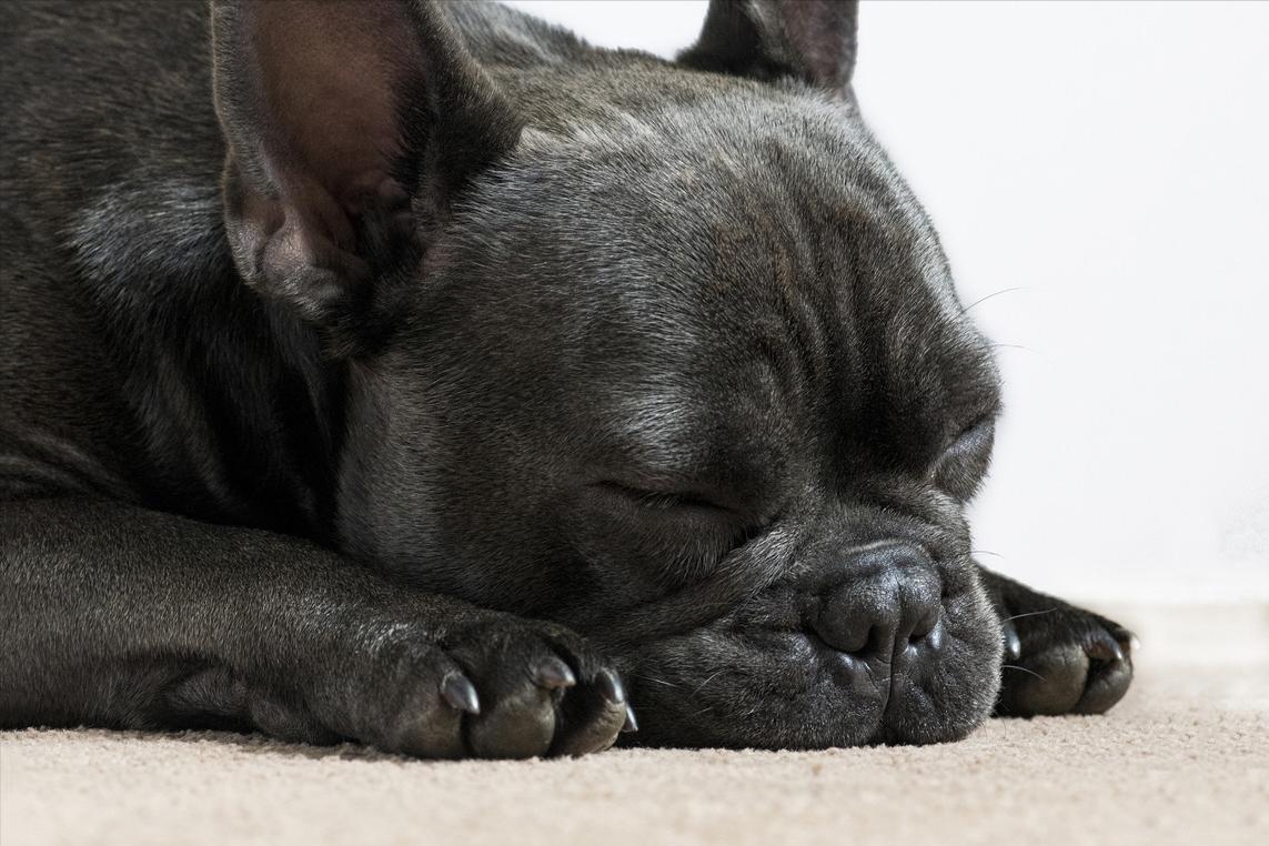 这次失眠险些把我“送走”