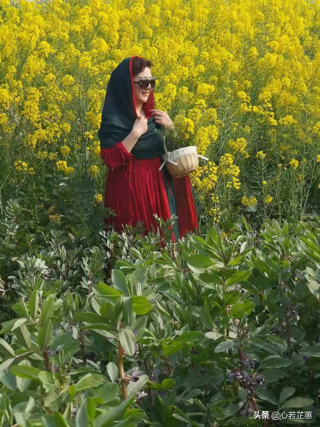 油菜花一片片的像什么,梯田油菜花和平原油菜花