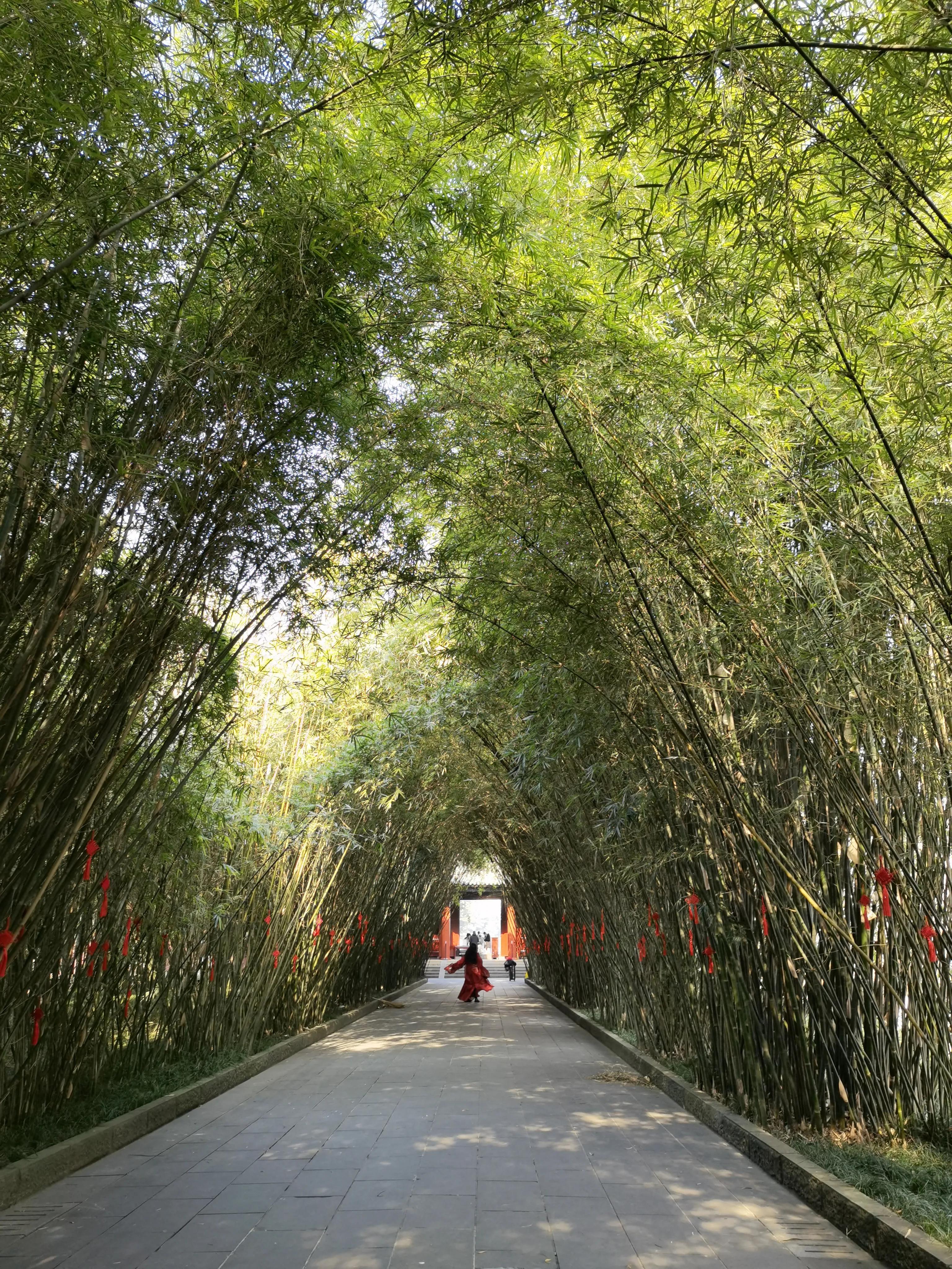 一分钟带你游遍全国,一分钟带你逛完公园