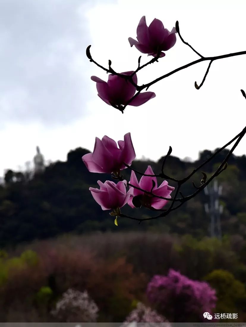 药王谷里觅旧迹（原图文）