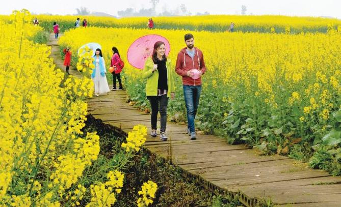 利润很吓人的冷门致富项目推荐,成本低利润高的小生意暴利